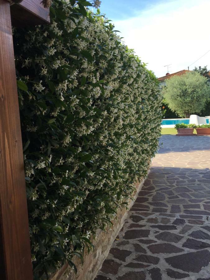 Villa Casa Pietra Del Sole à Lucques Extérieur photo